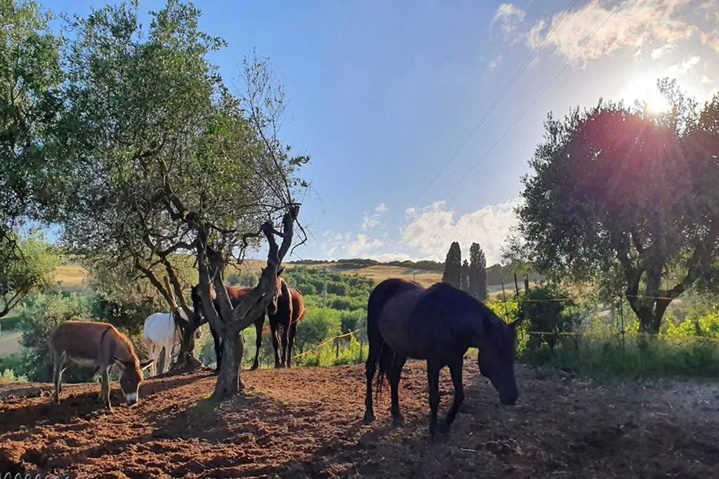 Appartamento Il Nido Volterra