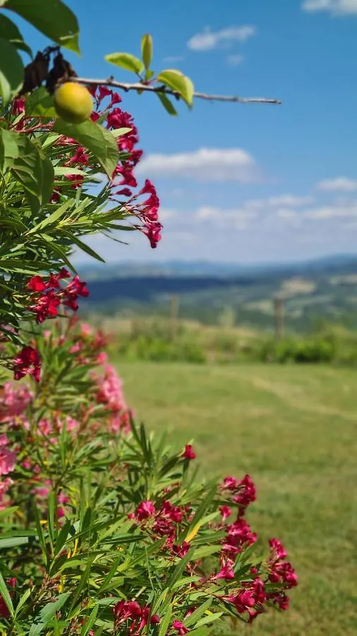 Appartamento Il Nido Volterra