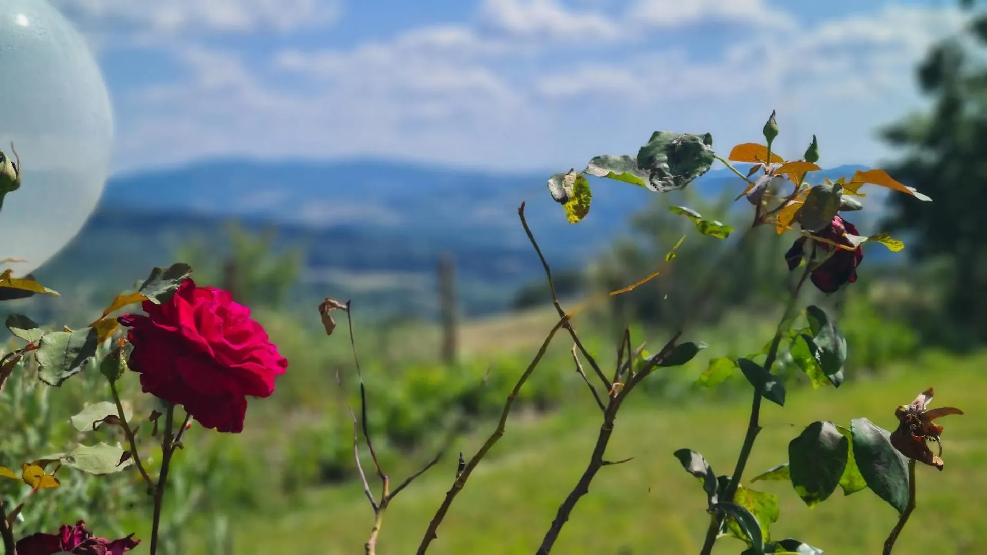 Appartamento Il Nido Volterra